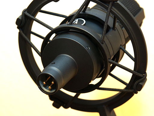 صورة توضيحية لتخصص الصوت